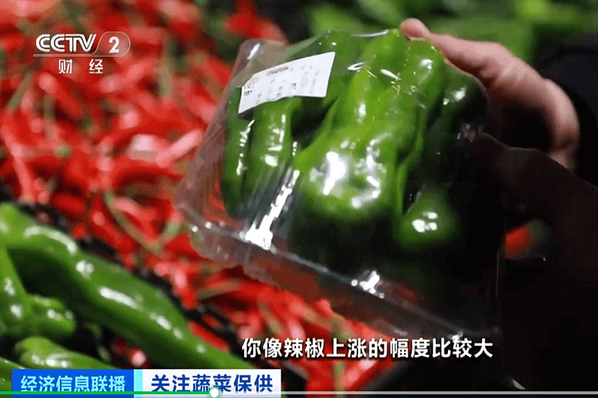 央视财经频道《经济信息联播》丨兰陵：长三角蔬菜供应地 做好菜价监测保障蔬菜外运